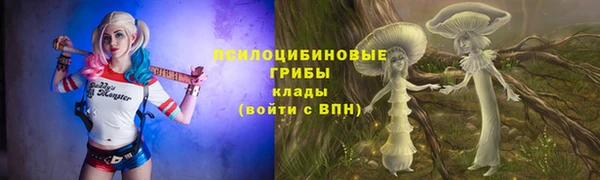 МДПВ Ладушкин