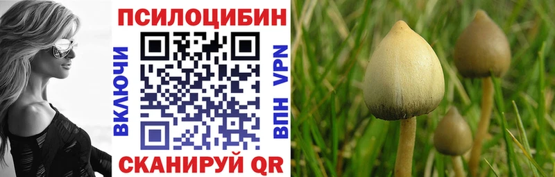 Галлюциногенные грибы GOLDEN TEACHER  MEGA ссылка  Владикавказ 