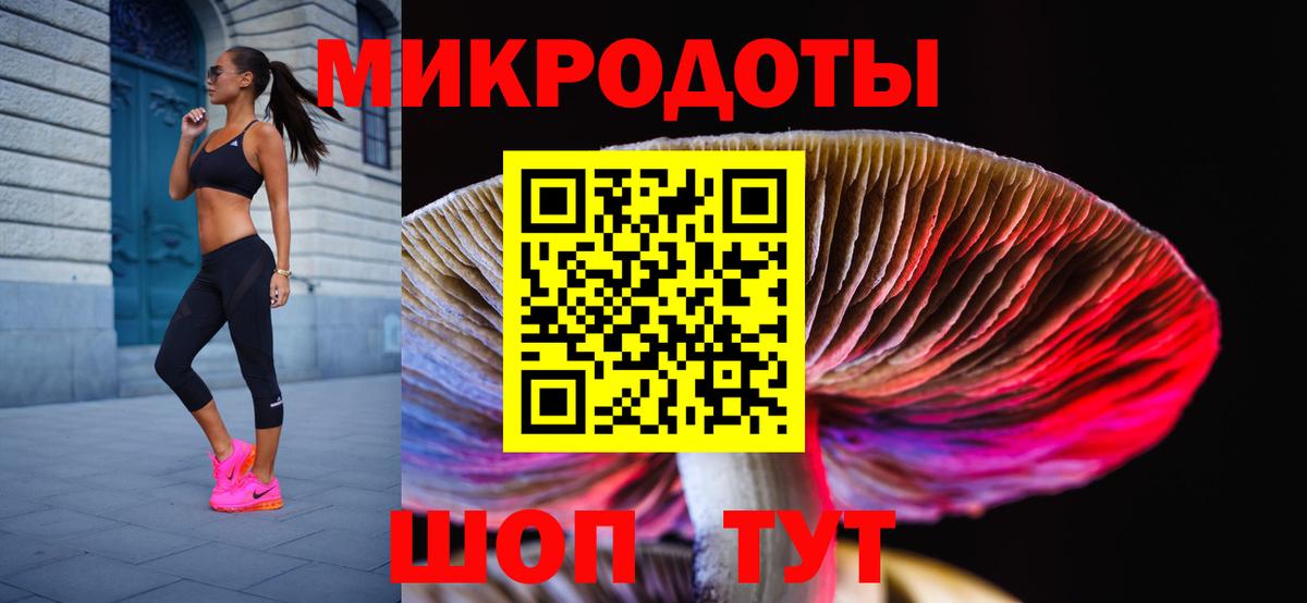 Псилоцибиновые грибы GOLDEN TEACHER Владикавказ